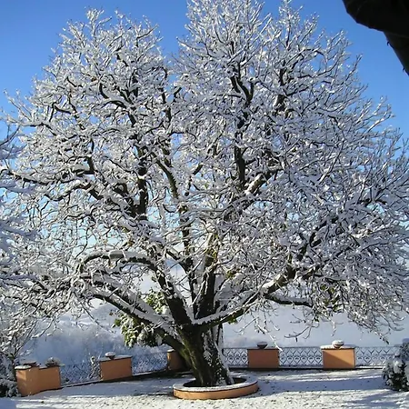 Tenuta Vecchio Castagno