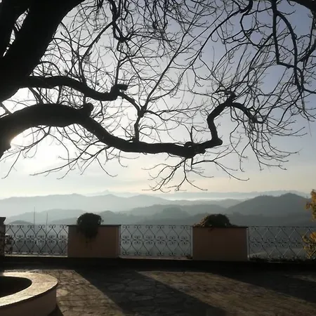 Tenuta Vecchio Castagno